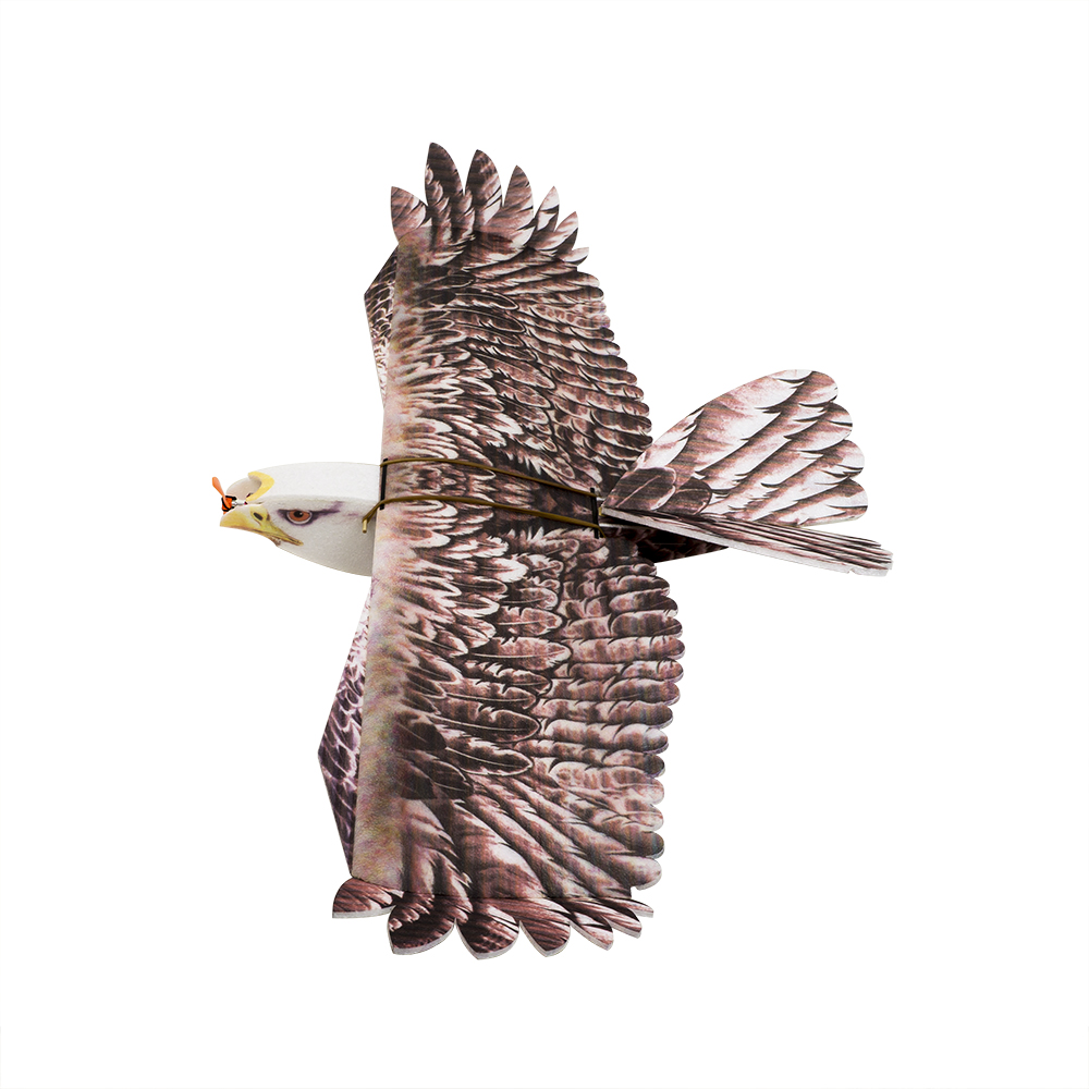 Rc Hobby Online - DW Hobby Eagle II EPP Vliegtuig