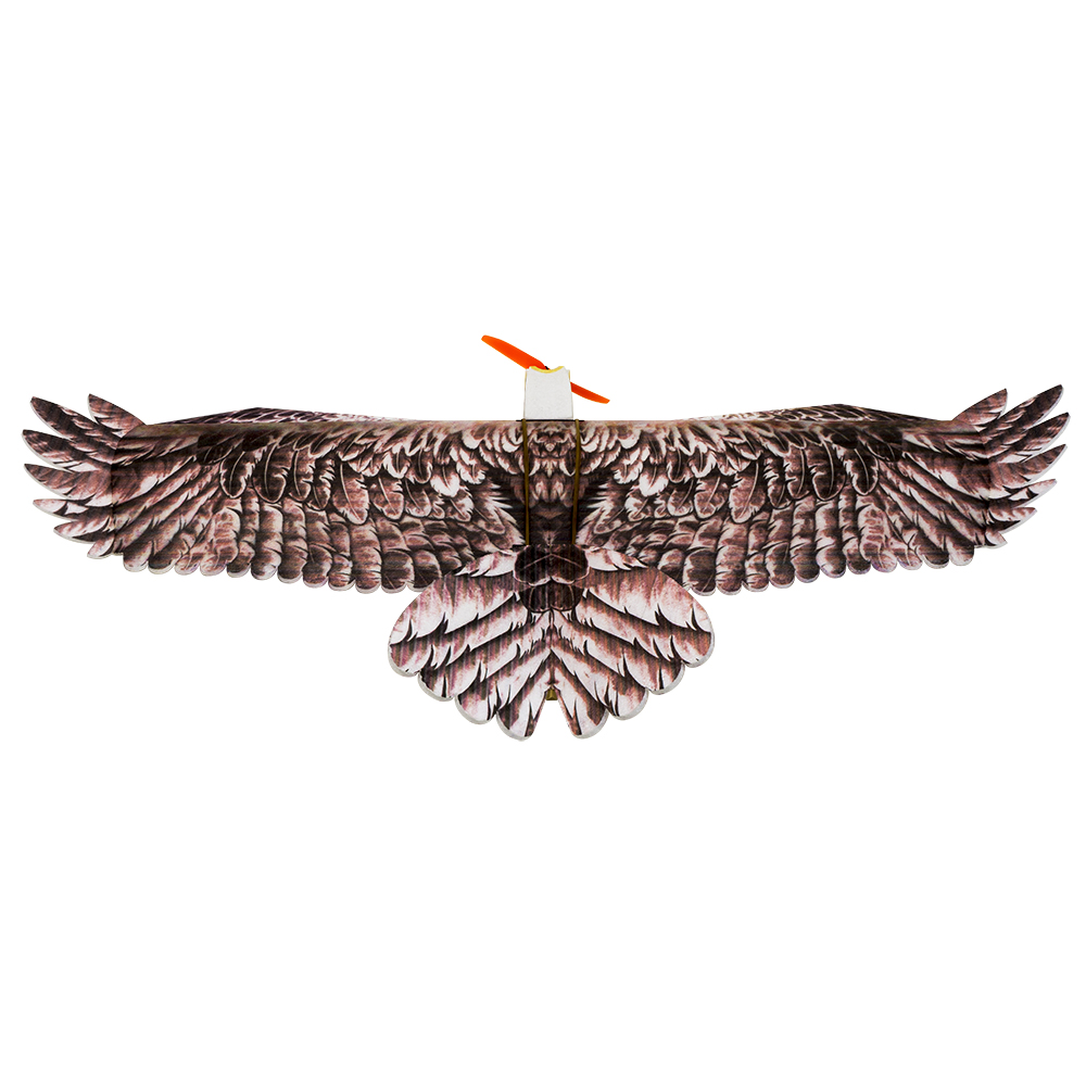 DW Hobby Eagle II EPP Vliegtui - Rc Hobby Online recensie en prijs